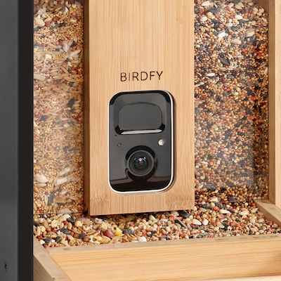 Birdfy Feeder Bamboo with Camera, Solar Panel and AI by Subscription, Multicolored (EPPAMBNI8402110)