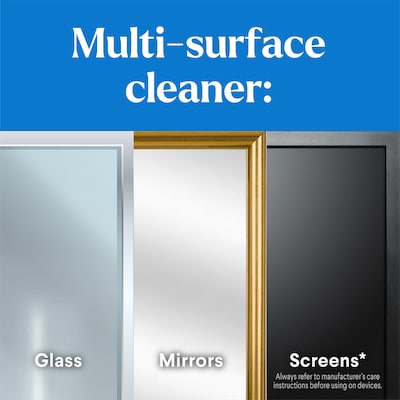 CloroxPro Clorox EcoClean Glass Cleaner, 32 Oz. (60277)