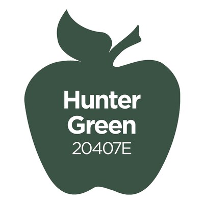 Apple Barrel Acrylic Paint Matte, 8oz., Hunter Green, 6/Pack (APP20407E-6)