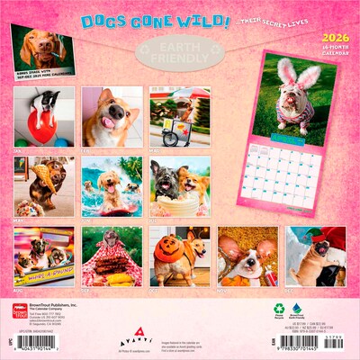 2026 BrownTrout Dogs Gone Wild 12 x 12 Monthly Wall Calendar (9798330701445)