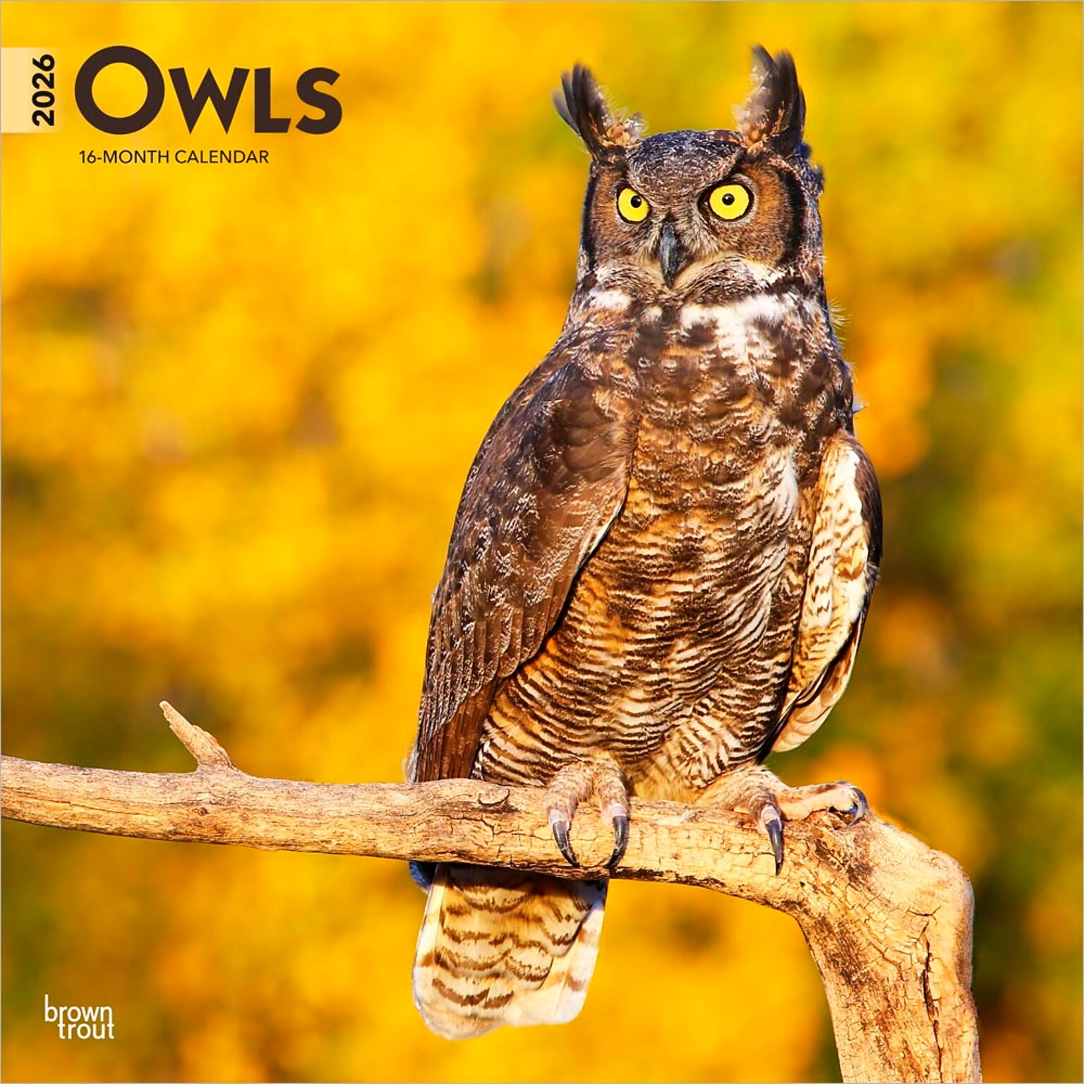 2026 BrownTrout Owls 12 x 12 Monthly Wall Calendar (9798330705054)