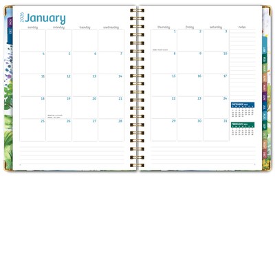 2026 Global Printed Products 8.5" x 11" Weekly & Monthly Planner, Paperboard Cover, Tree Seasons (FSHN-CY26-8511-20)