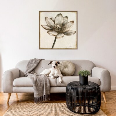 Amanti Art Sepia Lotus Blossom II by Patricia Pinto Framed Canvas Wall Art Print, 30 x 30 (A426782