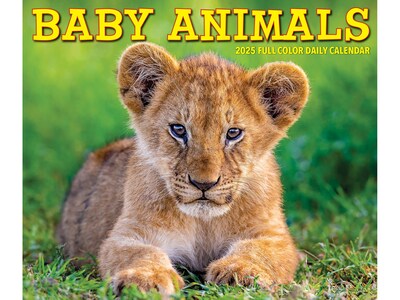 2025 Willow Creek Baby Animals 5.86" x 4.72" Day-to-Day Calendar (40607)