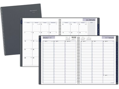 2024 AT-A-GLANCE DayMinder 8.5" x 11" Weekly & Monthly Appointment Book Planner, Poly Cover, Gray (GC520-07-24)
