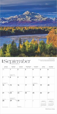 2025 BrownTrout Alaska Wild & Scenic 12" x 24" Monthly Square Wall Calendar (9781975474430)
