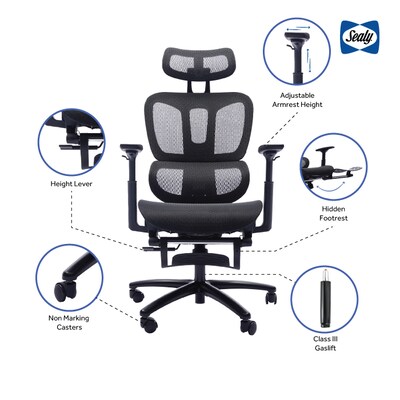 Sealy Posturepedic Astra Mesh Reclining Executive Office Chair, Black (63080)