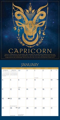 2026 Willow Creek Astrology 12" x 12" Monthly Wall Calendar (55274)