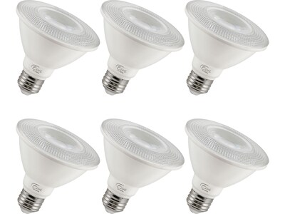 Viribright 11-Watt Warm White LED Floodlight Bulb, 6/Box (450156-ES)