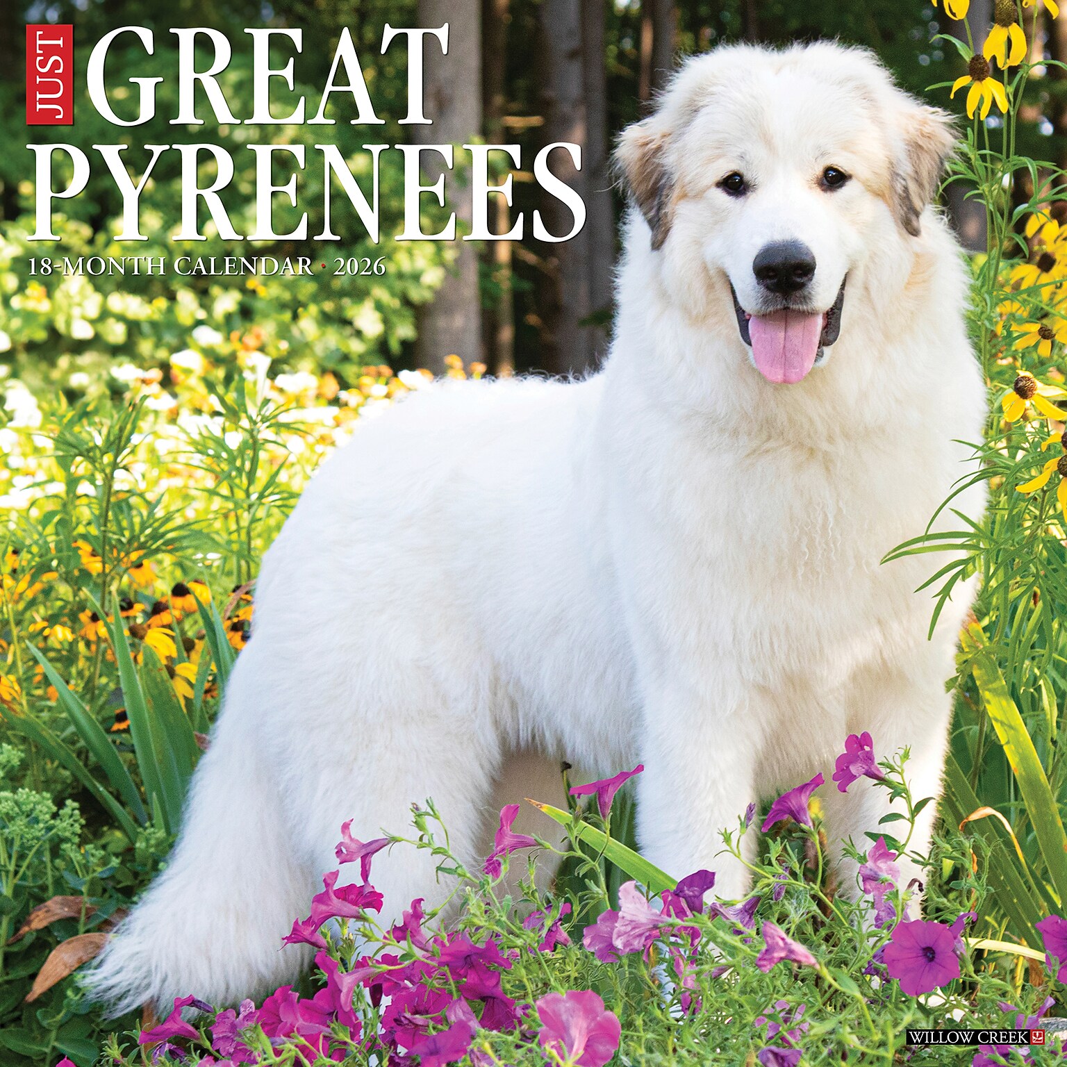 2026 Willow Creek Great Pyrenees 12 x 12 Monthly Wall Calendar (51375)