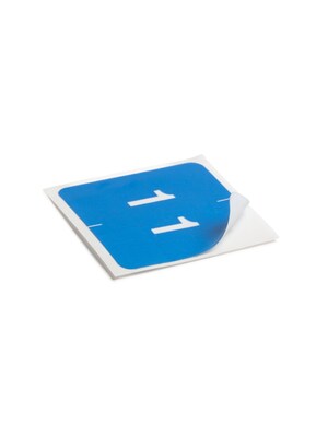Smead DCC Labels File Folder Label, 1, Light Blue, 250 Labels/Pack (67421)
