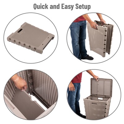 Mind Reader Foldable Plastic Laundry Hamper with Lid, Brown Metallic (FOLHAMP61-BRNM)