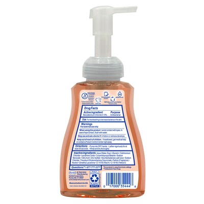 Dial Professional Antibacterial Defense Foaming Hand Soap with Aloe, Original Scent, 11 oz. (1700035446)