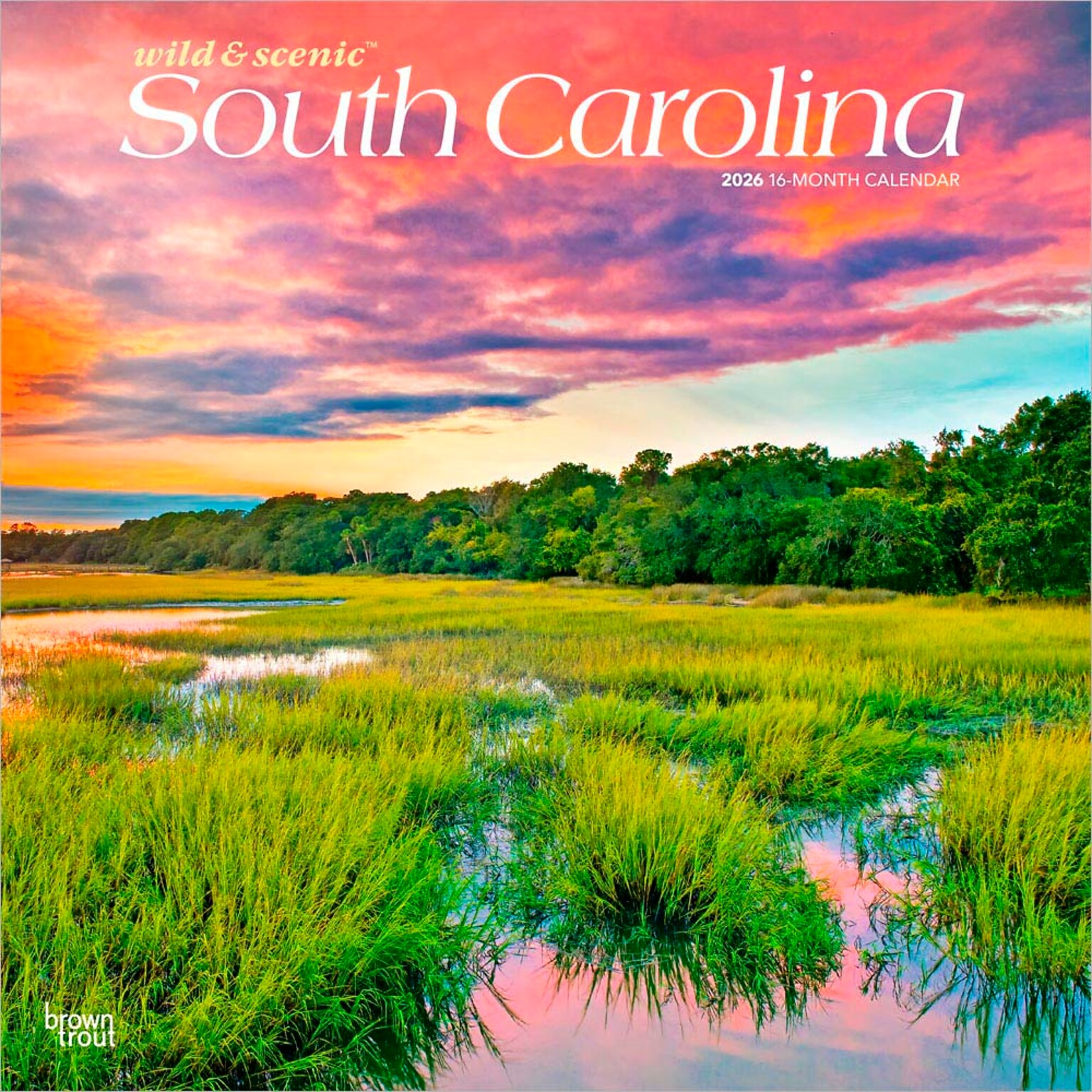 2026 BrownTrout South Carolina Wild & Scenic 12 x 12 Monthly Wall Calendar (9798330705658)