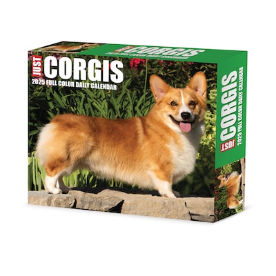 2025 Willow Creek Corgis (Dogs and Puppies) 6 x 5.5 Day-to-Day Calendar, Multicolor (40751)
