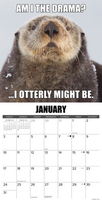 2027 Willow Creek In Otter News  12" x 12" Monthly Wall Calendar (60766)