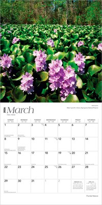 2026 BrownTrout Florida Nature 12" x 12" Monthly Wall Calendar (9798330703265)