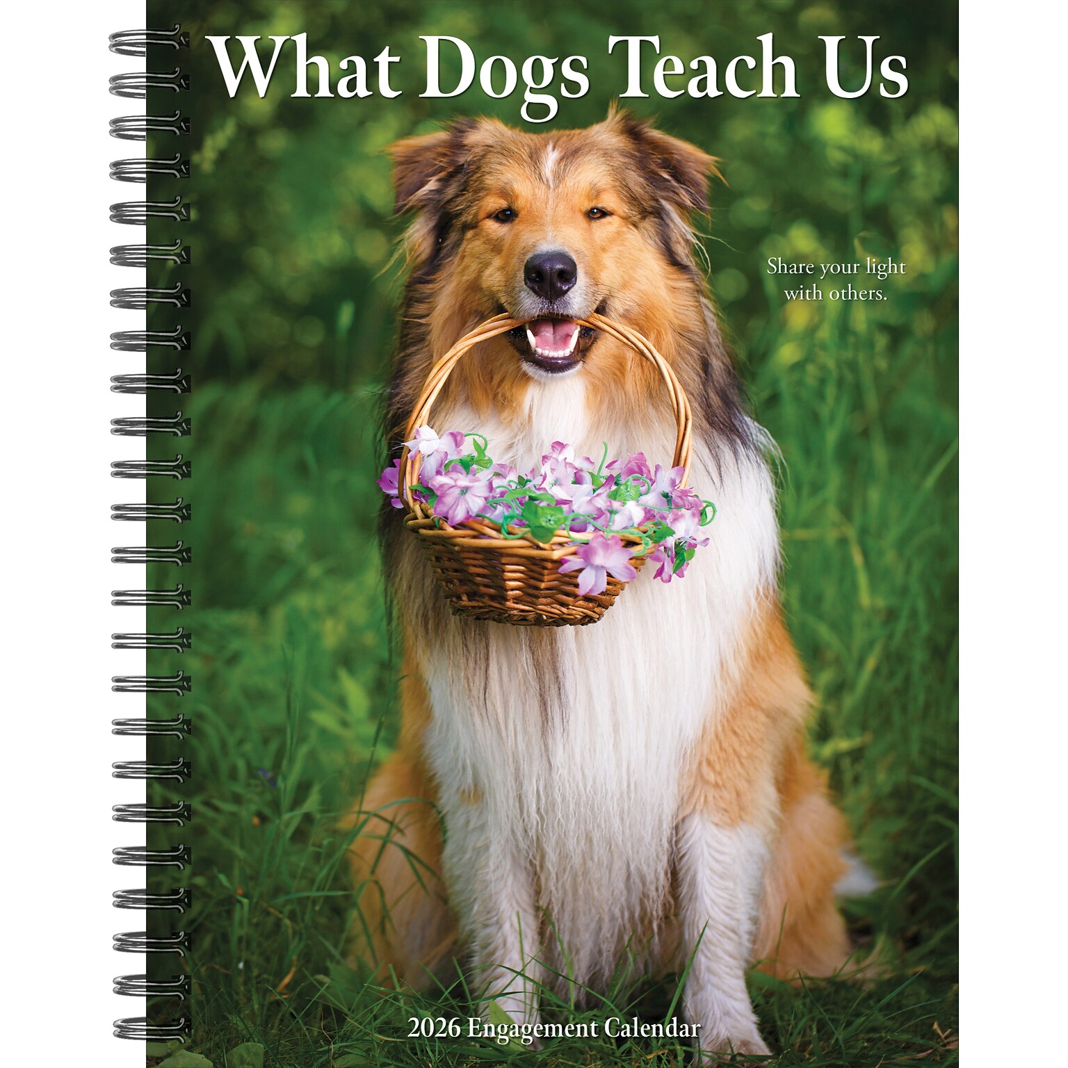 2026 Willow Creek What Dogs Teach Us 6.5 x 8.5 Daily & Monthly Personal Organizer (54673)