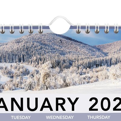 2026 AT-A-GLANCE Landscape 12" x 12" Monthly Wall Calendar, (88200-26)