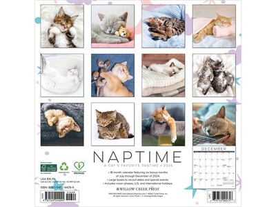 2025 Willow Creek Naptime: A Cats Favorite Pastime 12 x 12 Monthly Wall Calendar (44094)