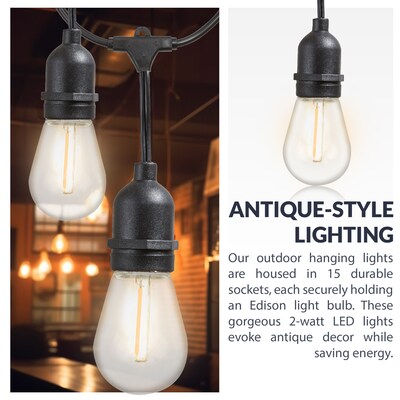 Newhouse Lighting Outdoor Weatherproof Commercial Grade LED String Lights with Hanging Sockets, Black (CSTRINGLED18)