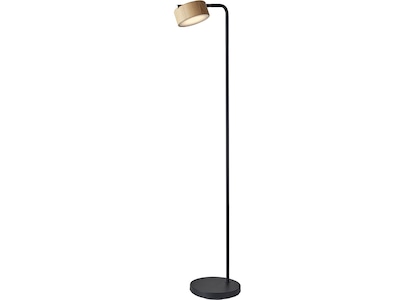 Adesso Roman 55 Metal/Wood Floor Lamp with Drum Shade (6107-01)