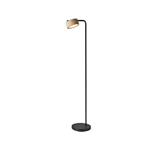 Adesso Roman 55 Metal/Wood Floor Lamp with Drum Shade (6107-01)