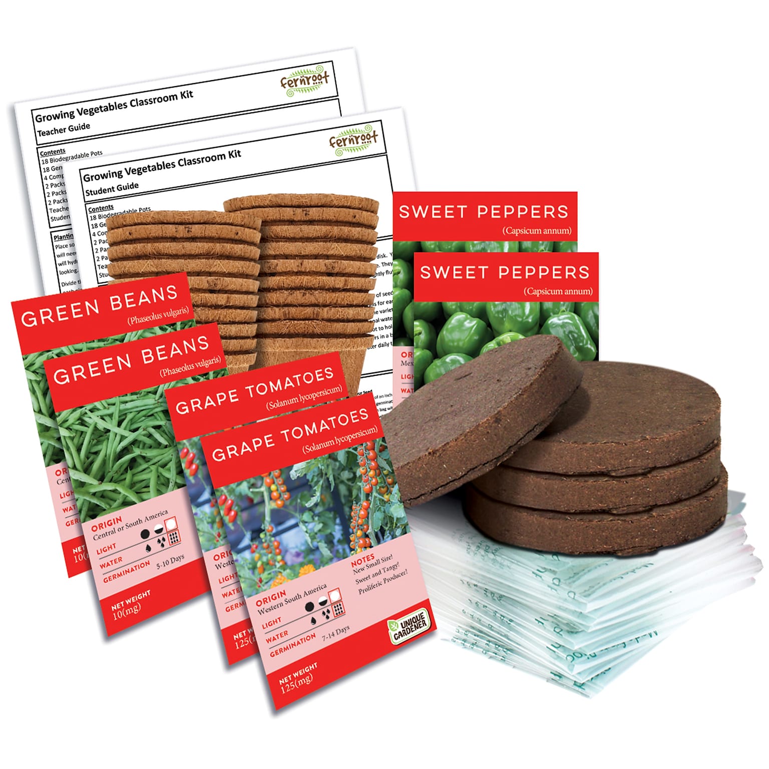 Fernroot Growing Vegetables Classroom Kit, Multicolored, 42/Set (SRCCKBS505)