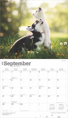 2025 BrownTrout For the Love of Siberian Huskies 7" x 12" Monthly  Wall Calendar (9781975473082)