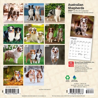 2027 BrownTrout Australian Shepherds 7 x 7 Monthly Wall Calendar, Assorted Colors (9798330709878)