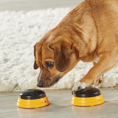 Hunger For Words Talking Pet Next Words: Names, Multicolored, 6 Pieces (LER9353)