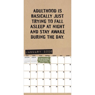 2026 TF Publishing Of Sarcasm 12 x 12 Monthly Wall Calendar (26-1100)