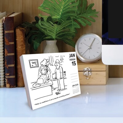 2026 Willow Creek Cat Cartoon-A-Day by Jonny Hawkins 6.2" x 5.4" Day-to-Day Calendar (54031)