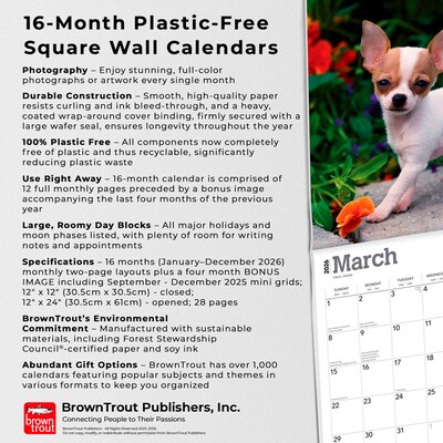 2026 BrownTrout Chihuahua Puppies 12" x 12" Monthly Wall Calendar (9798330702923)