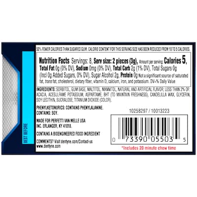 Dentyne Ice Sugar Free Peppermint Gum, 16 Pieces/Pack, 9 Packs/Box (VAM05111)