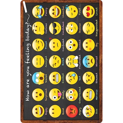 Ashley Smart Poly Computer Mouse Pad, 8" x 10", How are You Feeling, 6/Pack (ASH12507-6)