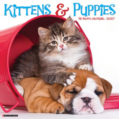 2027 Willow Creek Kittens & Puppies 12 x 12 Monthly Wall Calendar, Assorted Colors (60940)