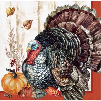 Creative Converting Timeless Turkey Thanksgiving Tableware Set, Serves 8 (DTC9026E2A)