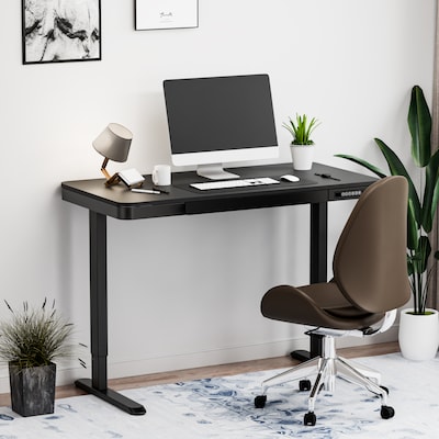 FlexiSpot EW2 48"W Electric Adjustable Standing Desk, Black (EW2B-E)
