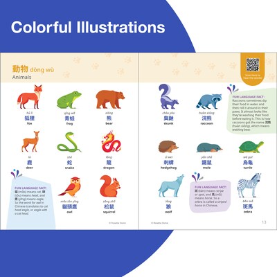 Rosetta Stone Paperback Traditional Mandarin Chinese Picture Dictionary Resource Book (201147)