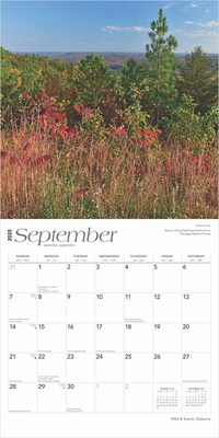 2025 BrownTrout Alabama Wild & Scenic 12" x 12" Monthly Square Wall Calendar (9781975474423)