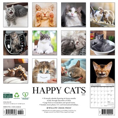2025 Willow Creek Happy Cats 12 x 12 Monthly Wall Calendar (43288)