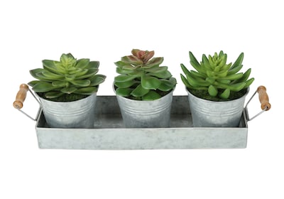 Monarch Specialties Inc. 6" Artificial Succulent in Pot, 3/Set (I 9372)