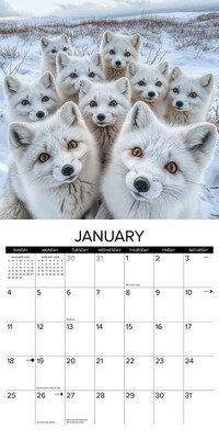 2026 Willow Creek Animal Selfies 12" x 12" Monthly Wall Calendar (49884)
