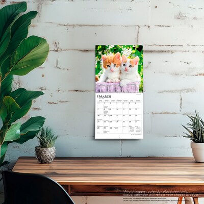2027 BrownTrout For the Love of Kittens 7" x 7" Monthly Wall Calendar (9798330709731)