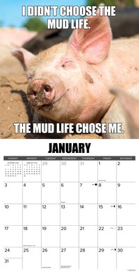 2027 Willow Creek Farm Funnies  12" x 12" Monthly Wall Calendar (65235)