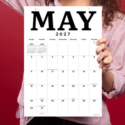 2027 TF Publishing Medium Art 12" x 17" Monthly Desk or Wall Calendar, Multicolored (27-8512)