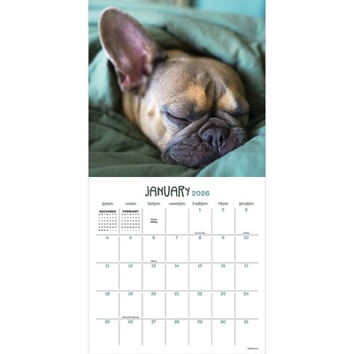 2026 TF Publishing Dog Dreams 12 x 12 Monthly Wall Calendar (26-1010)