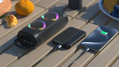 LAX 6600mAh Power Bank, Black (LX16B)