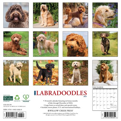 2025 Willow Creek Just Labradoodles 12 x 12 Monthly Wall Calendar (43660)